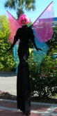 Glittering_Pink_Butterfly_Stilt